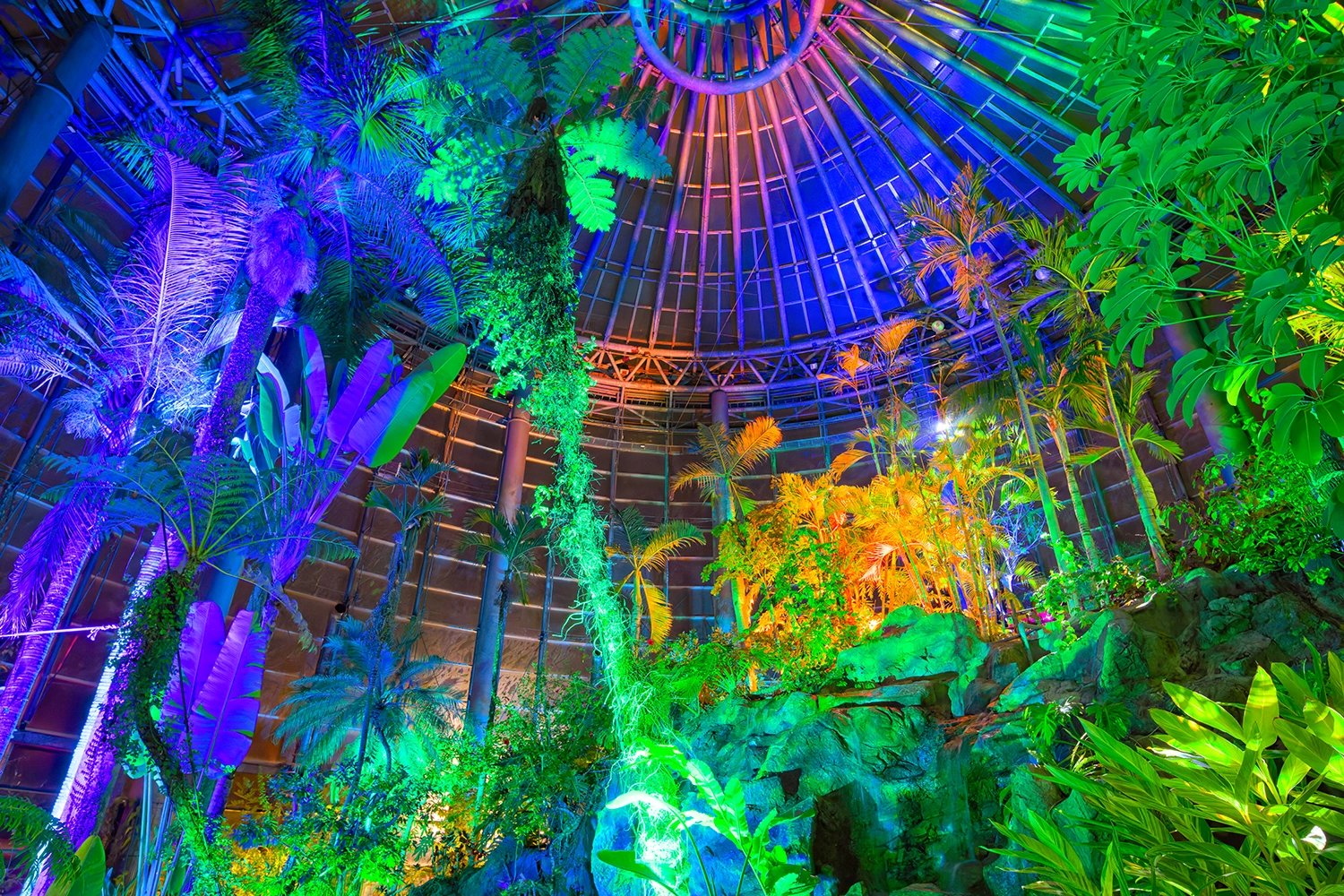 🌸 보타니카 뮤지엄 이미지 4